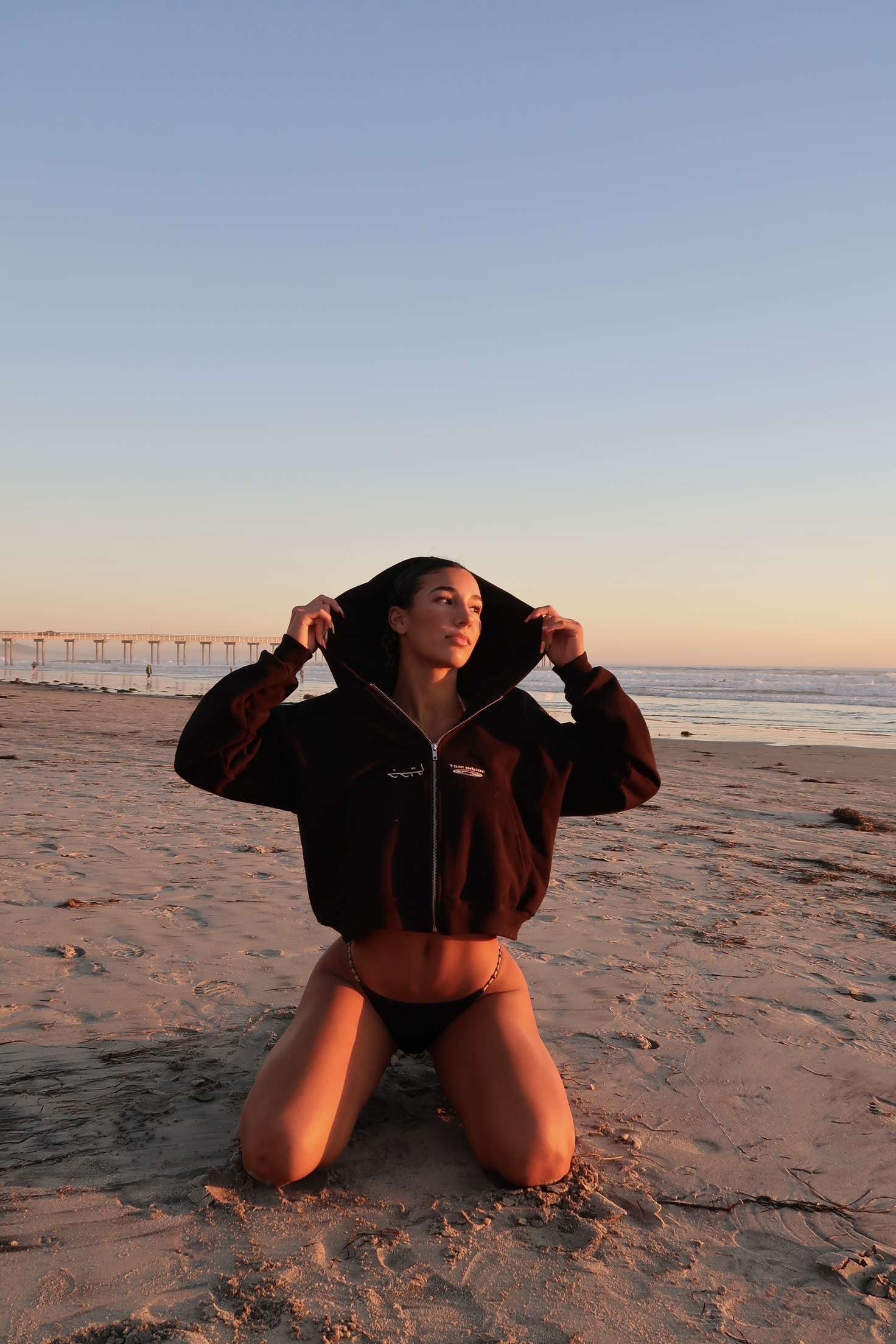 the cropped zip-up: V2