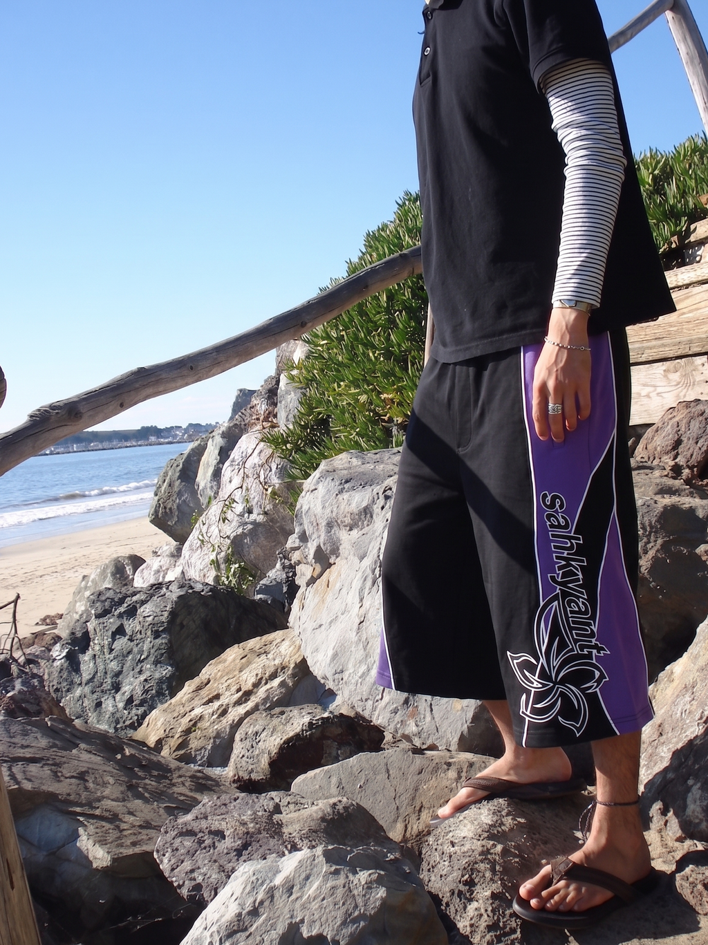 shants purple